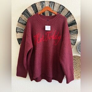 American Eagle Sweater NWT